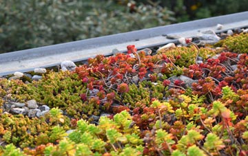 the cost of Brownside green roof installation