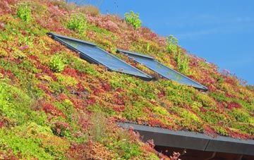 Brownside living roof systems