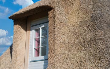 Brownside thatch roof disadvantages